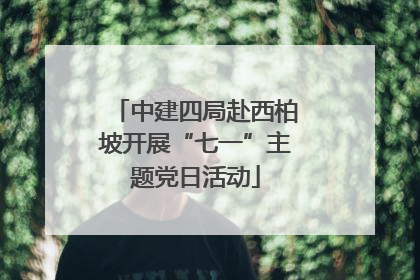 中建四局赴西柏坡开展“七一”主题党日活动