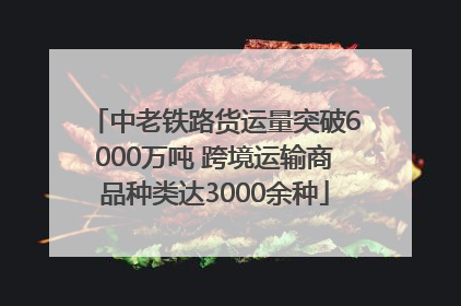 中老铁路货运量突破6000万吨 跨境运输商品种类达3000余种