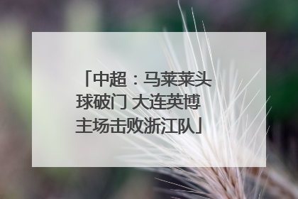 中超：马莱莱头球破门 大连英博主场击败浙江队