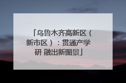 乌鲁木齐高新区（新市区）：贯通产学研 融出新图景