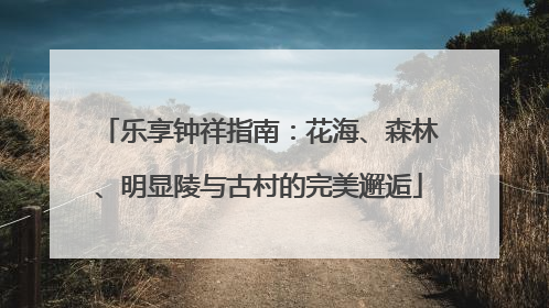 乐享钟祥指南：花海、森林、明显陵与古村的完美邂逅