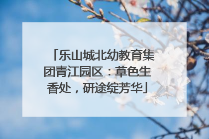 乐山城北幼教育集团青江园区：草色生香处，研途绽芳华