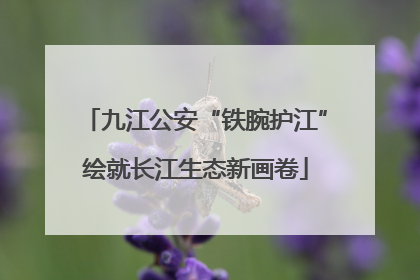 九江公安“铁腕护江”绘就长江生态新画卷
