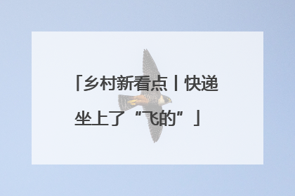乡村新看点丨快递坐上了“飞的”