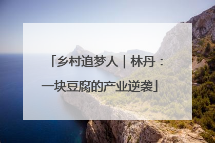 乡村追梦人｜林丹：一块豆腐的产业逆袭