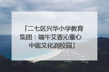 二七区兴华小学教育集团：端午艾香沁童心 中医文化润校园
