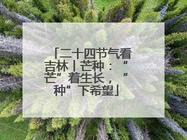 二十四节气看吉林丨芒种：“芒”着生长，“种”下希望