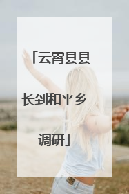 云霄县县长到和平乡调研