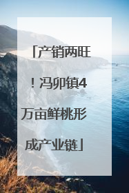 产销两旺！冯卯镇4万亩鲜桃形成产业链