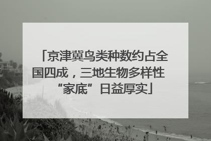 京津冀鸟类种数约占全国四成，三地生物多样性“家底”日益厚实