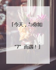 今天，与你如“7”而遇！
