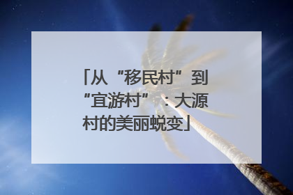 从“移民村”到“宜游村”：大源村的美丽蜕变