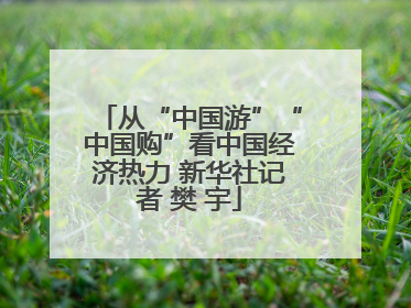 从“中国游”“中国购”看中国经济热力 新华社记者 樊 宇
