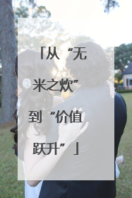 从“无米之炊”到“价值跃升”