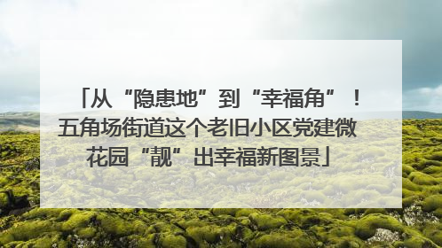 从“隐患地”到“幸福角”！五角场街道这个老旧小区党建微花园“靓”出幸福新图景