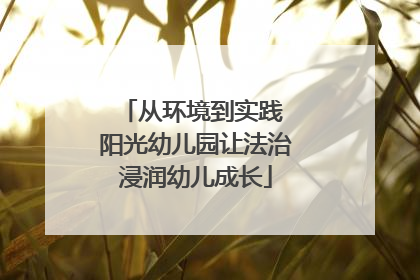 从环境到实践 阳光幼儿园让法治浸润幼儿成长