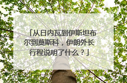 从日内瓦到伊斯坦布尔到莫斯科，伊朗外长行程说明了什么？