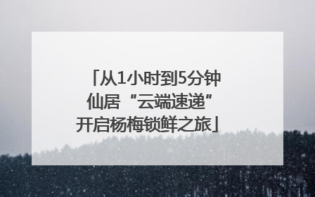 从1小时到5分钟 仙居“云端速递”开启杨梅锁鲜之旅