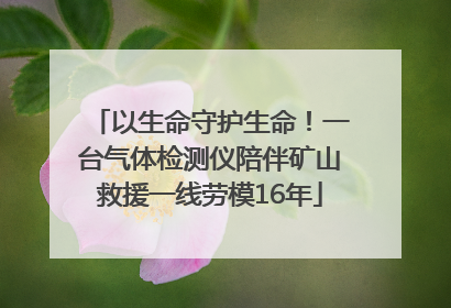 以生命守护生命！一台气体检测仪陪伴矿山救援一线劳模16年