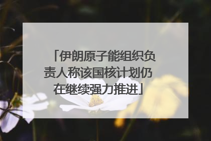 伊朗原子能组织负责人称该国核计划仍在继续强力推进