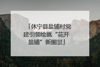 休宁县盐铺村党建引领绘就“花开盐铺”新图景