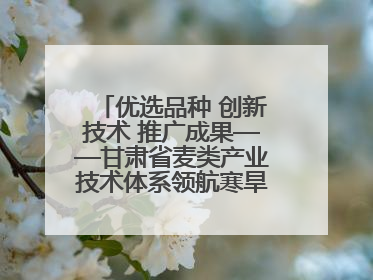 优选品种 创新技术 推广成果——甘肃省麦类产业技术体系领航寒旱小麦育种新征程