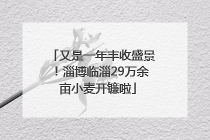 又是一年丰收盛景！淄博临淄29万余亩小麦开镰啦