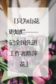 只为山花更灿烂——记全国先进工作者陈萍花