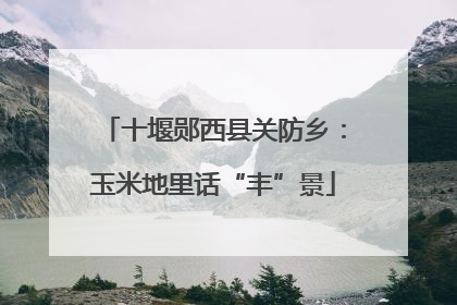 十堰郧西县关防乡：玉米地里话“丰”景