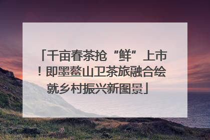 千亩春茶抢“鲜”上市！即墨鳌山卫茶旅融合绘就乡村振兴新图景