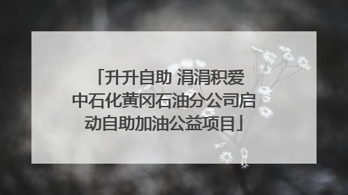 升升自助 涓涓积爱 中石化黄冈石油分公司启动自助加油公益项目