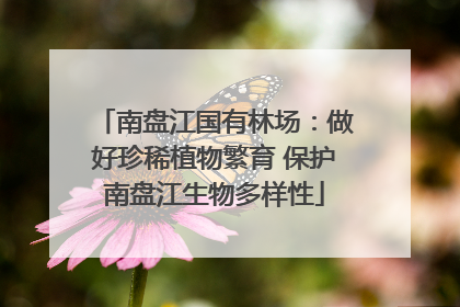 南盘江国有林场：做好珍稀植物繁育 保护南盘江生物多样性