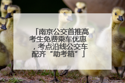 南京公交首推高考生免费乘车优惠，考点沿线公交车配齐“助考箱”