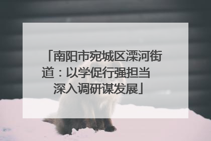南阳市宛城区溧河街道：以学促行强担当 深入调研谋发展