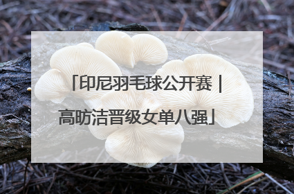 印尼羽毛球公开赛｜高昉洁晋级女单八强