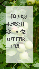 印尼羽毛球公开赛：韩悦女单首轮晋级
