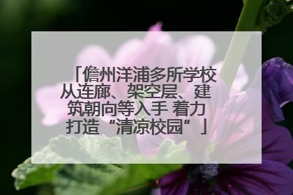 儋州洋浦多所学校从连廊、架空层、建筑朝向等入手 着力打造“清凉校园”