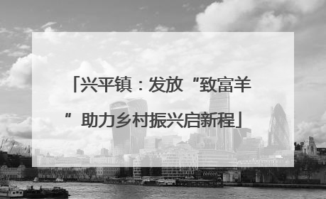 兴平镇：发放“致富羊”助力乡村振兴启新程