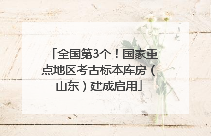 全国第3个！国家重点地区考古标本库房（山东）建成启用