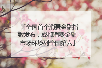 全国首个消费金融指数发布，成都消费金融市场环境列全国第六
