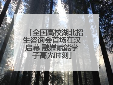 全国高校湖北招生咨询会首场在汉启幕 融媒赋能学子高光时刻