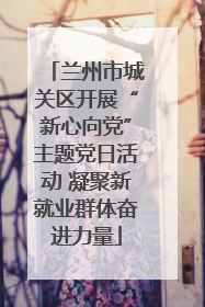 兰州市城关区开展“新心向党”主题党日活动 凝聚新就业群体奋进力量