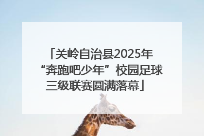 关岭自治县2025年“奔跑吧少年”校园足球三级联赛圆满落幕