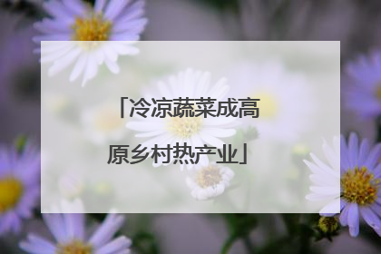 冷凉蔬菜成高原乡村热产业