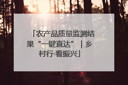 农产品质量监测结果“一键直达”｜乡村行·看振兴