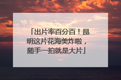 出片率百分百！昆明这片花海美炸啦，随手一拍就是大片