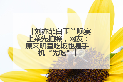 刘亦菲白玉兰晚宴上菜先拍照，网友：原来明星吃饭也是手机“先吃”