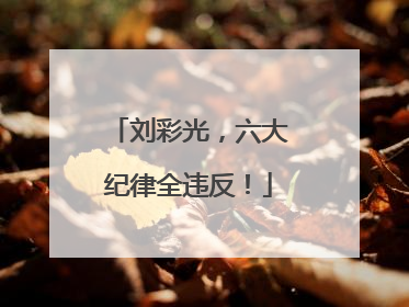 刘彩光，六大纪律全违反！