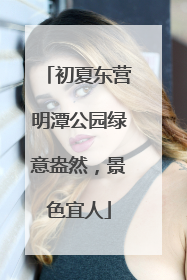 初夏东营明潭公园绿意盎然，景色宜人