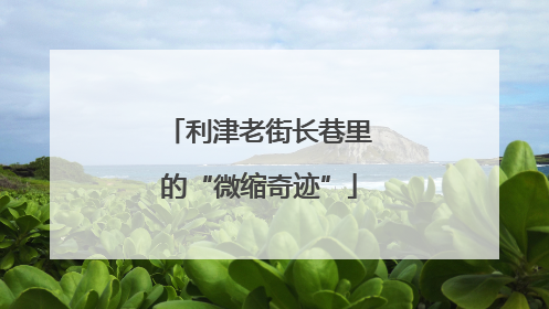 利津老街长巷里的“微缩奇迹”